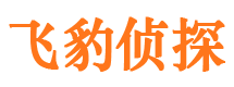 八道江市侦探公司